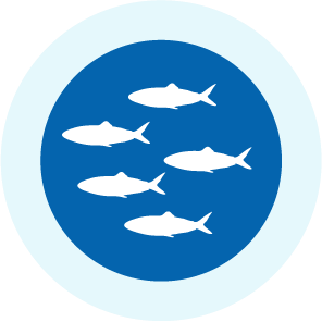A colaboração ajuda a proteger as populações de bacalhau no mar de Barents