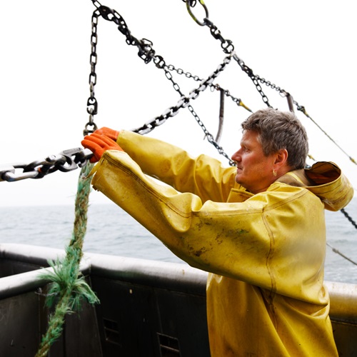 Fishery certification guide