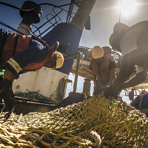 Fisheries improving