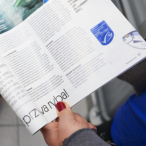 Promote sustainable seafood