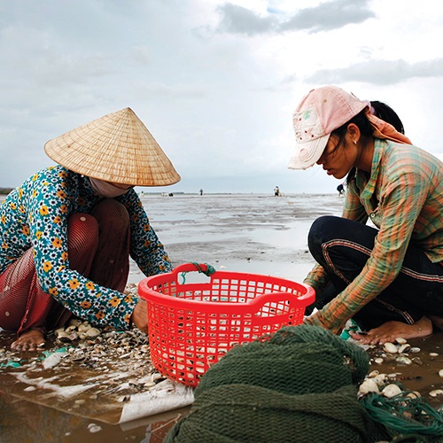 As comunidades que dependem da pesca