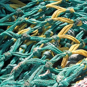 End Overfishing