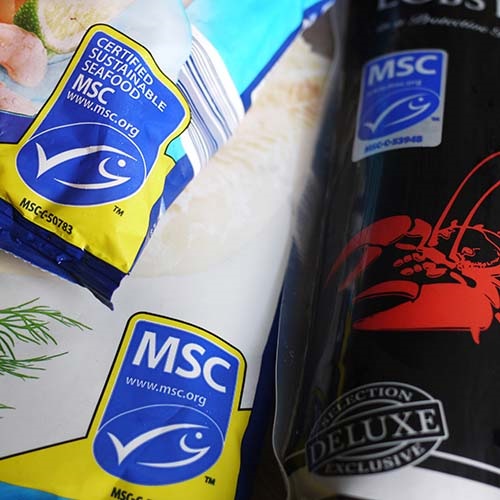 Co oznacza niebieski znak MSC?