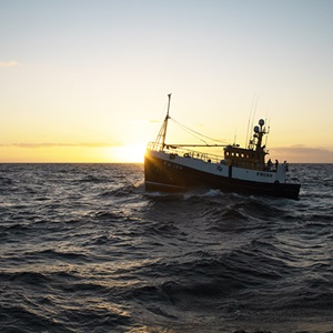 UK fisheries ltd